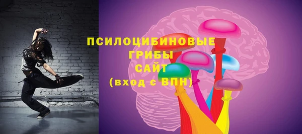 ешки Весьегонск