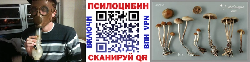 Галлюциногенные грибы ЛСД  закладки  blacksprut ссылки  Полтавская 